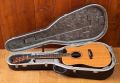 Lakewood D-53 Custom with Cutaway