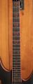 Peavey Vandenberg Signature Matte Black