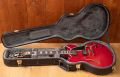 D'Angelico Excel DC Stopbar Trans Cherry