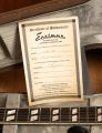 Eastman T59/v Sunburst
