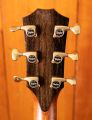 Taylor 914ce LTD Koa