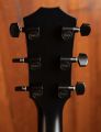 Taylor 214ce Special Edition Transparent Blue