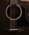 Taylor 214ce Special Edition Transparent Grey