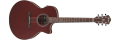 Ibanez AE100 Burgundy Flat
