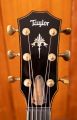 Taylor 914ce LTD Koa
