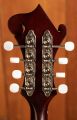 The Loar LM-310F Brown Sunburst