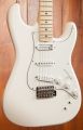 Fender Ed O'Brien EOB Stratocaster OWT