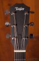 Taylor Academy 10e Dreadnought