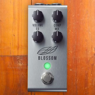 Jackson Audio Blossom