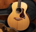 Taylor Gold Label 814e Koa