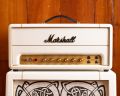 Marshall Custom order SV20H head +212 Cab VIKING DOG DESIGN