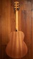 Taylor GS Mini-e Special Edition, Trans White