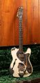 James Trussart Deluxe Steelcaster HB Bigsby Cream on Black Roses
