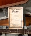 Eastman T60/TV Sunburst