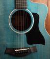 Taylor 214ce Special Edition Transparent Blue