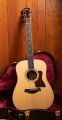 Taylor Legacy 810e