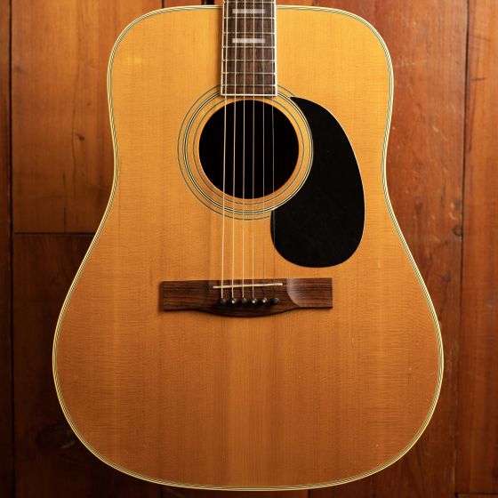 Ibanez Concord (1973)
