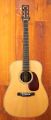 Collings D2HAT Torrefied Adirondack Top