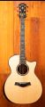 Taylor 914ce LTD Koa