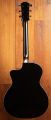 Taylor 214ce Special Edition Transparent Grey