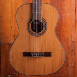 max_guitar_art-
