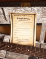 Eastman E6 LGSS Thermo-Cure Sunburst
