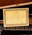 Nik Huber Orca 59 Blue Turquoise Glow Brazilian RW Fretboard