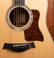 Taylor Legacy 810e