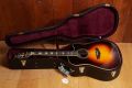 D'Angelico Excel Bowery Vintage Sunburst