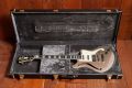 D'Angelico Deluxe Bedford SH Desert Gold