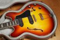 Eastman T64/v-T Gold Burst Hollow Thinline