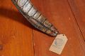Fatstrap Crocodile Mud