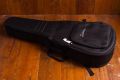 Eastman AC222CE-OV