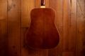 Epiphone FT-200 Frontier