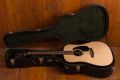 Martin D-21 Limited Edition