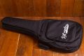 D'Angelico Premier Series DC Grateful Dead Model