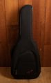 Fender Newporter Special Honey Burst