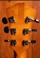 Eastman AR805CE Goldburst