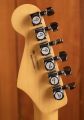 Fender Player II Modified Stratocaster RW Dusk