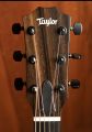 Taylor 214ce Special Edition Transparent Blue
