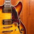 D'Angelico Excel DC XT Iced Tea Burst, Quilted Maple