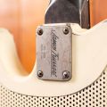 James Trussart Deluxe Steelcaster HB Bigsby Cream on Black Roses