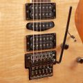 Ibanez J. Custom RG8570CST Natural