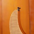 Ibanez J. Custom RG8570CST Natural
