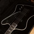 Gibson Gene Simmons G2 Thunderbird