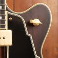 D'Angelico Deluxe 59 Satin Brown Burst