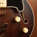 D'Angelico Deluxe 59 Satin Brown Burst