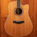 Lakewood D-53 Custom with Cutaway