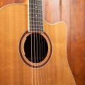 Lakewood D-53 Custom with Cutaway