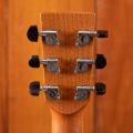 Lakewood D-53 Custom with Cutaway